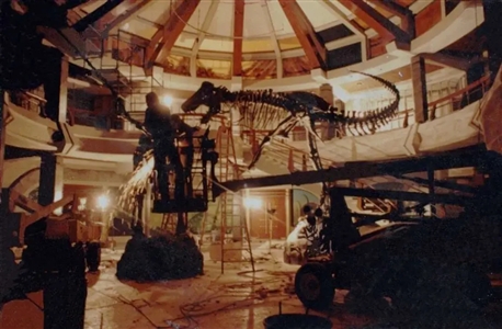 R Carter Jurassic Island Dinosaur Sketches