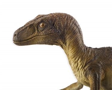 Raptor Maquette Gift from Steven Spielberg