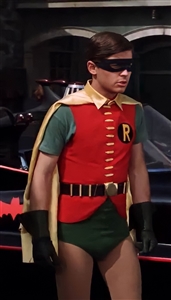 Burt Ward Robin Costume from Batman