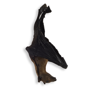 Hanging Batcave Bats from Batman Begins