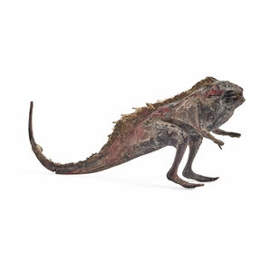 Orloni Lizard from Guardians of the Galaxy Vol. 2