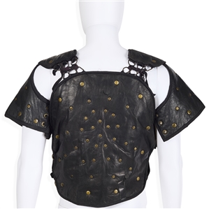 Dragon Armor from Xena Warrior Princess